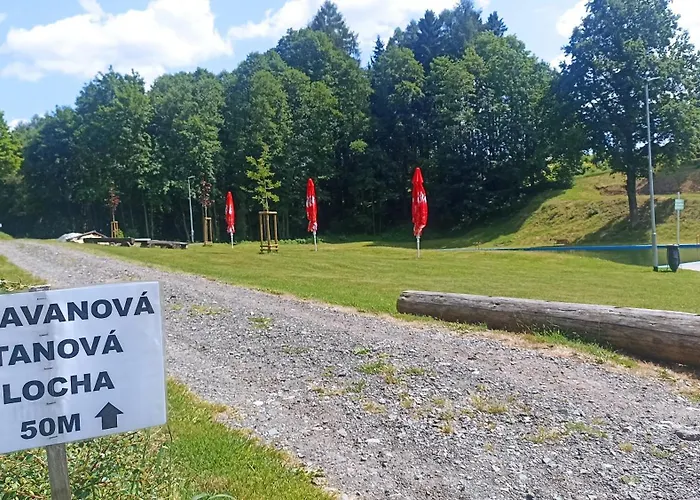 Agawa V Arealu Koupaliste V Orlickych Horach
